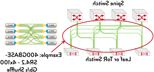 Optical Fiber Cable Shuffle Arrangement Illustration
